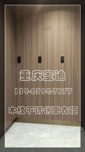 木纹更衣柜/不锈钢衣柜/储物柜/信报箱