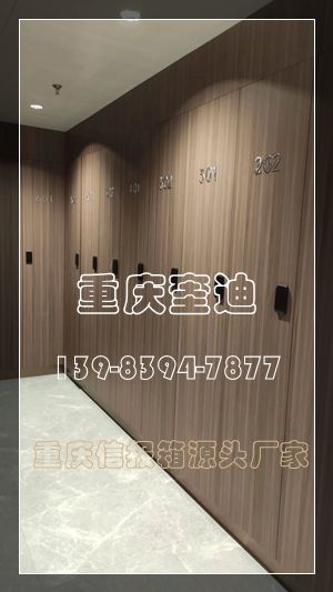 木纹不锈钢更衣柜/不锈钢储物柜/信报箱