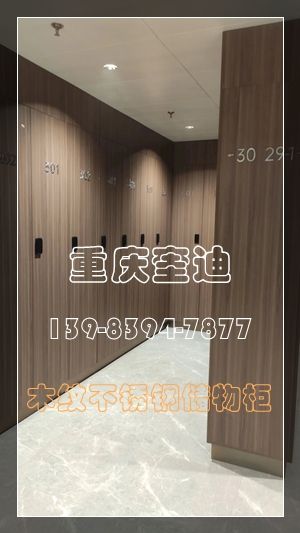 木纹储物箱/木纹更衣柜/不锈钢衣柜