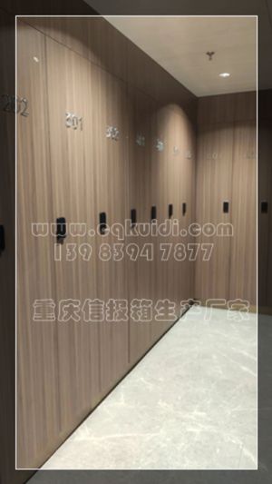 仿木纹储物柜/橱柜衣柜/信报箱