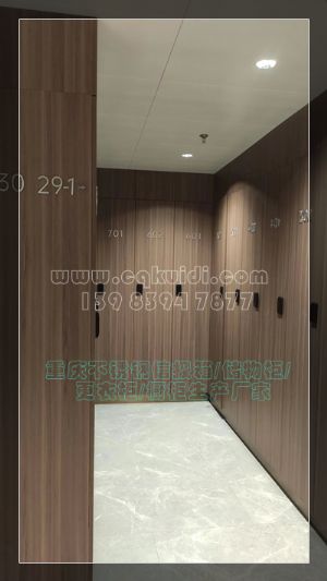  储物柜/不锈钢橱柜/信报箱